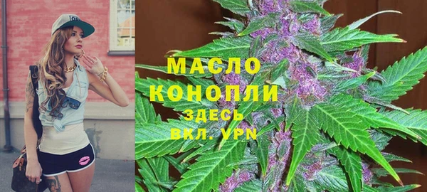 скорость Каменногорск